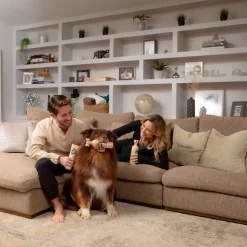 Pet Head Sensitive Soul Serie