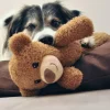 Petlando Moodles teddybjørn hundelegetøj