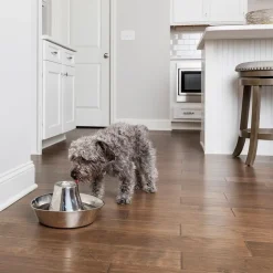 PetSafe® Drinkwell® Bølgebrus drikkefontæne