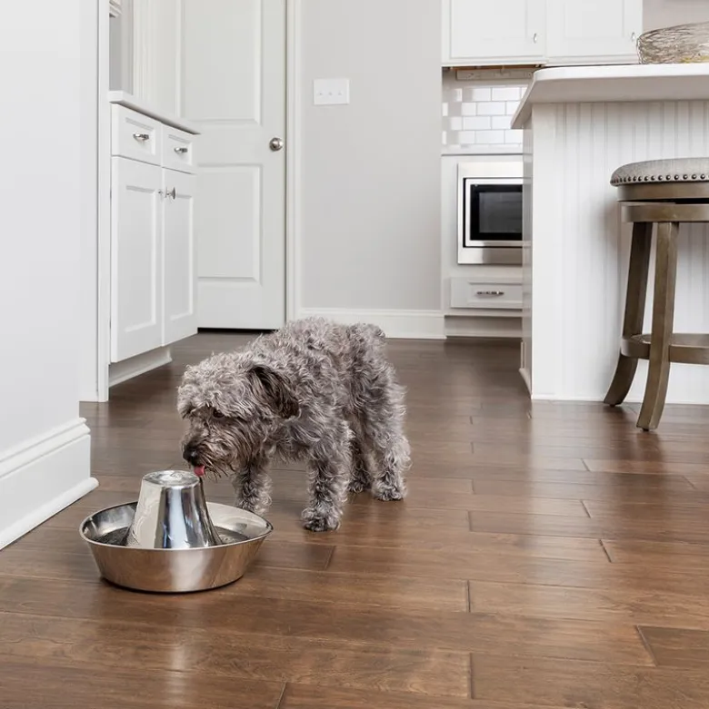 PetSafe® Drinkwell® Bølgebrus drikkefontæne