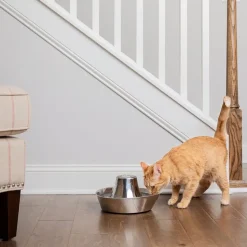 PetSafe® Drinkwell® Bølgebrus drikkefontæne