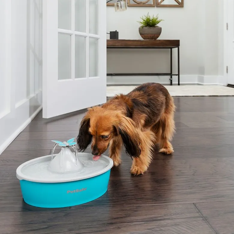 PetSafe® Drinkwell® Butterfly drikkefontæne
