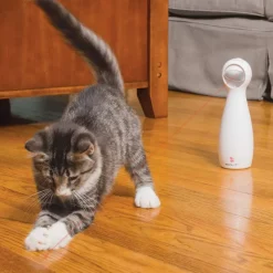 PetSafe® FroliCat® Bolt Laser kattelegetøj