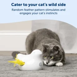 PetSafe® Peek-a-Bird elektronisk kattelegetøj