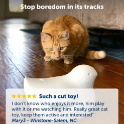 PetSafe® Peek-a-Bird elektronisk kattelegetøj