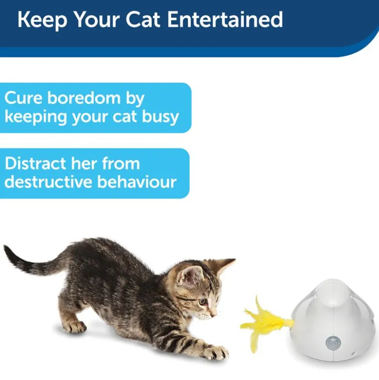 PetSafe® Peek-a-Bird elektronisk kattelegetøj