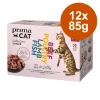 PrimaCat Classic i gelé 12 x 85 g