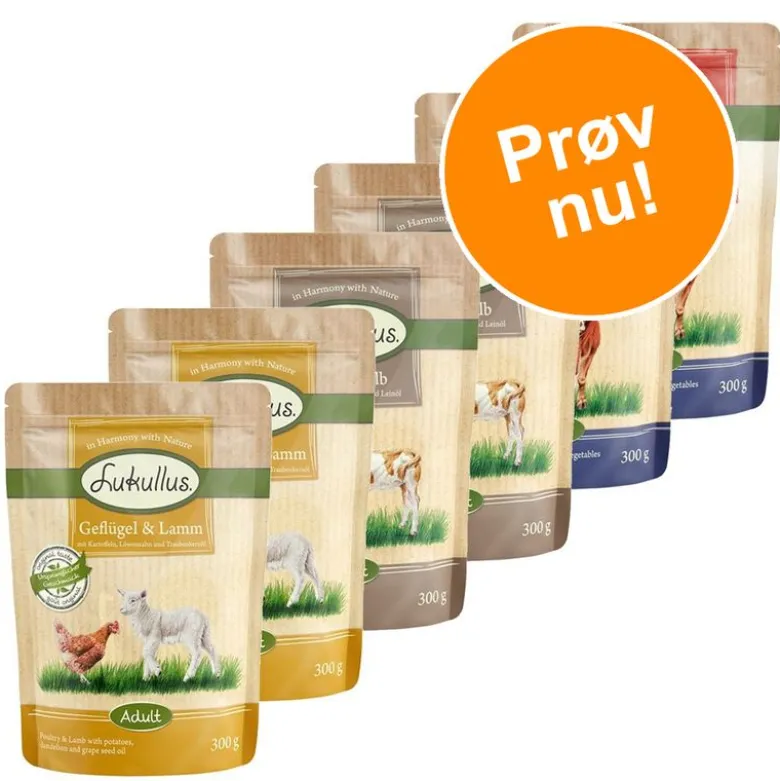 Prøvepakke: Lukullus Naturkost Kornfri portionspose