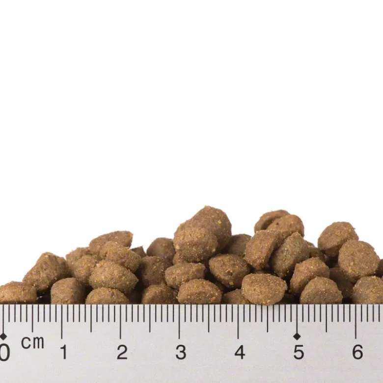Prøvepakke: Purizon 400 g & Cosma Nature 6 x 70 g