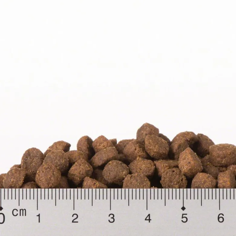 Prøvepakke: Purizon 400 g & Cosma Nature 6 x 70 g