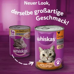 Prøvepakke: 6 x 400 g catz finefood