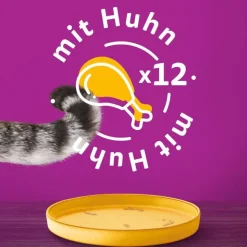 Prøvepakke: 6 x 400 g catz finefood