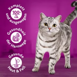 Prøvepakke: 6 x 400 g catz finefood