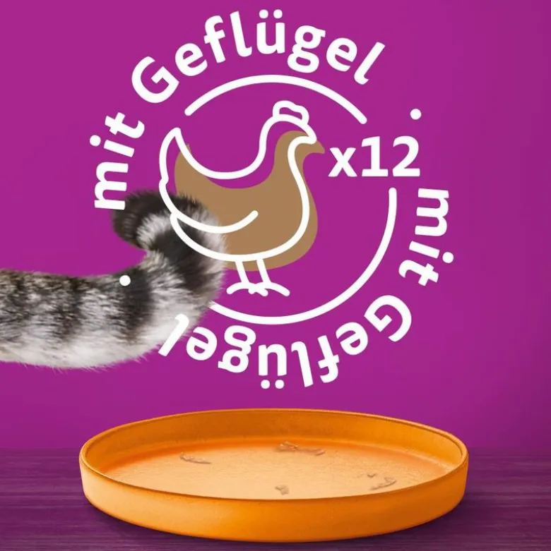 Prøvepakke: 6 x 400 g catz finefood