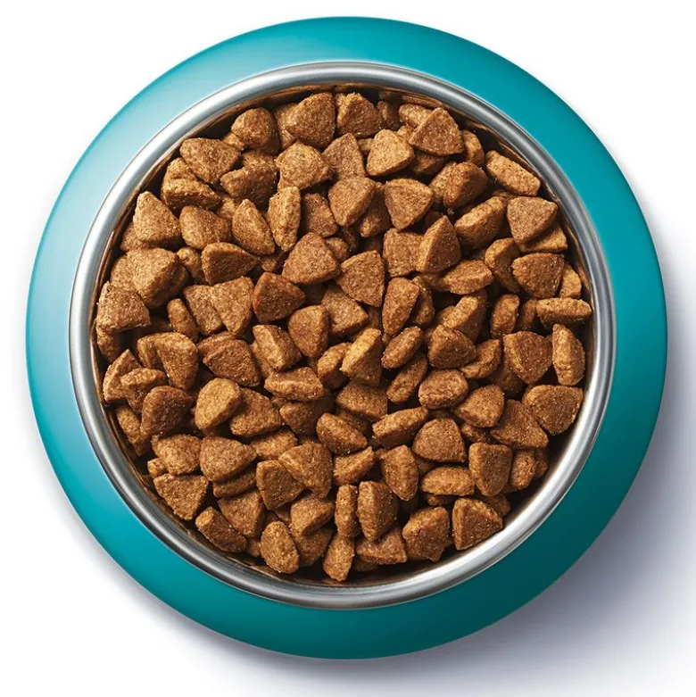 PURINA ONE Coat & Hairball