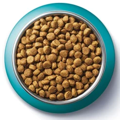 PURINA ONE Indoor Formula Kalkun