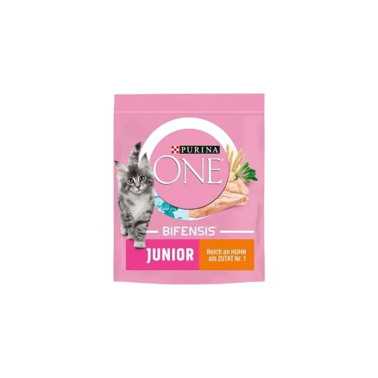PURINA ONE Junior