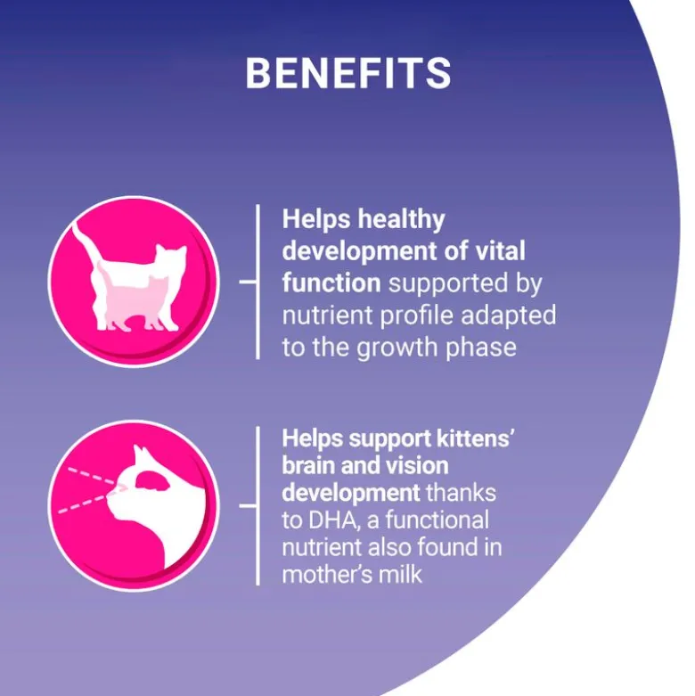 PURINA ONE Junior