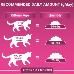 PURINA ONE Junior