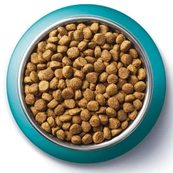PURINA ONE SterilCat kylling