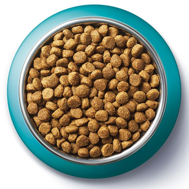 PURINA ONE SterilCat kylling