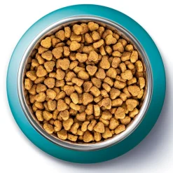 PURINA ONE Urinary Health