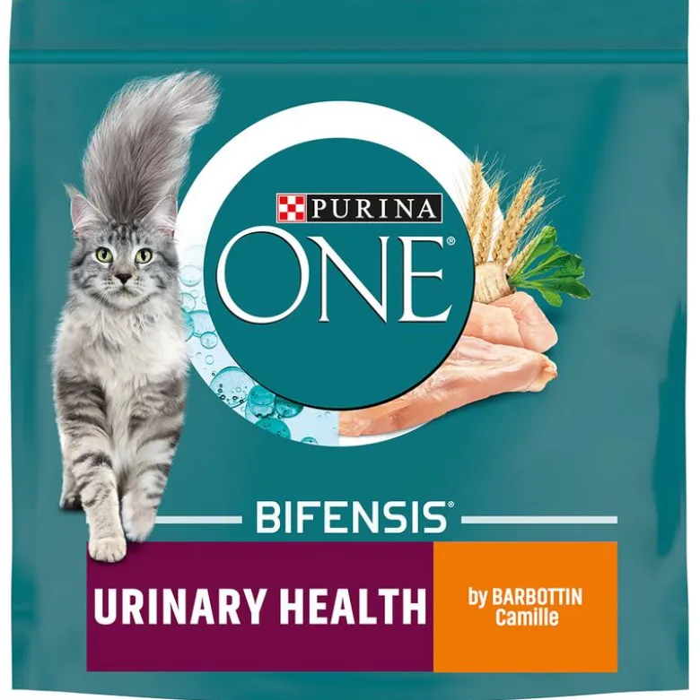 PURINA ONE Urinary Health