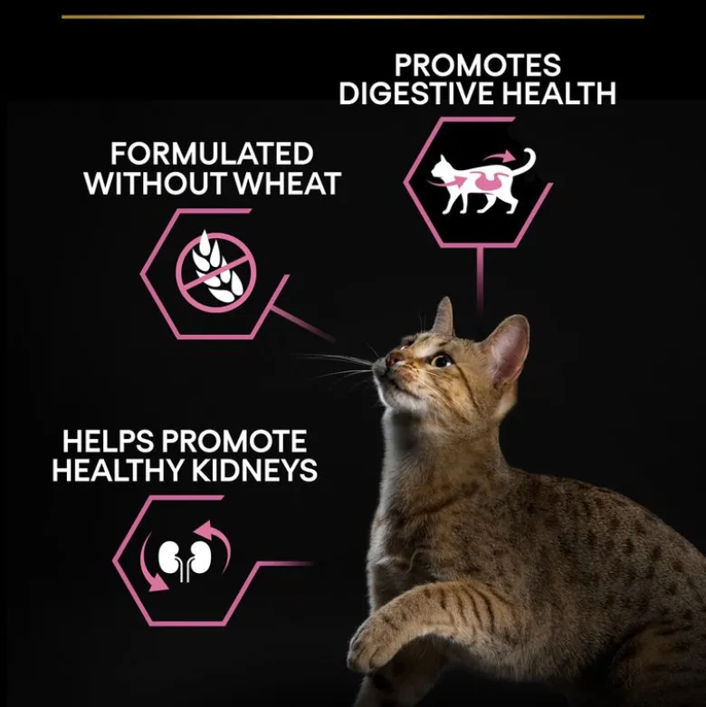 PURINA PRO PLAN Adult Delicate Digestion Kalkun