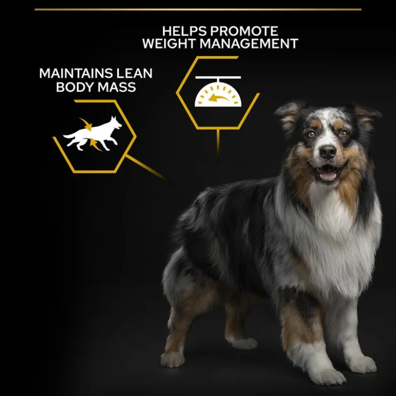 PURINA PRO PLAN All Sizes Adult Light/Sterilised