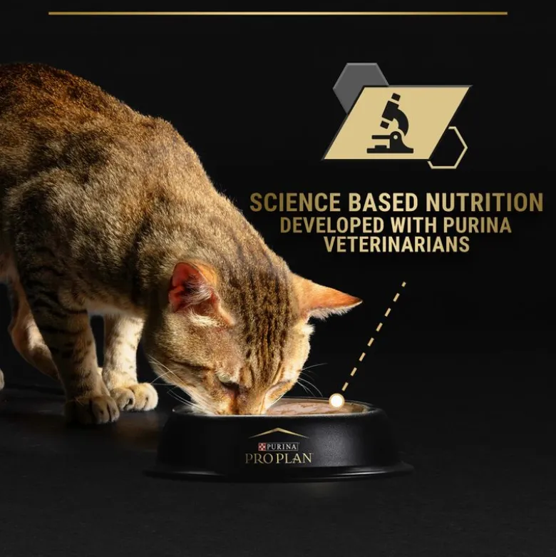 PURINA PRO PLAN Cat Senior Longevis 24 x 85 g