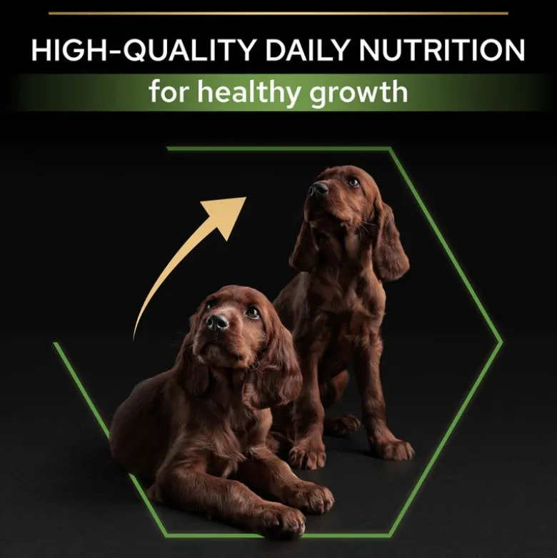 PURINA PRO PLAN Large Athletic Puppy Healthy Start
