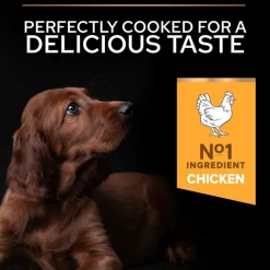 PURINA PRO PLAN Large Athletic Puppy Healthy Start