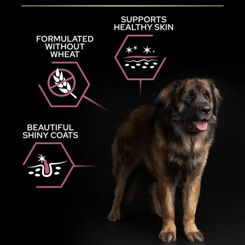 PURINA PRO PLAN Large Robust Adult Sensitive Skin Laks