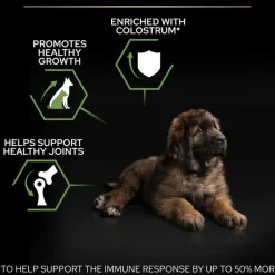 PURINA PRO PLAN Large Robust Puppy Healthy Start