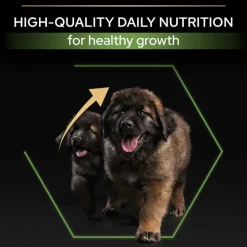 PURINA PRO PLAN Large Robust Puppy Healthy Start