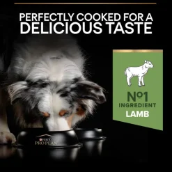 PURINA PRO PLAN Medium Adult Sensitive Digestion Lam & Ris