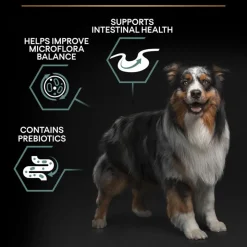 PURINA PRO PLAN Medium Adult Sensitive Digestion Lam & Ris