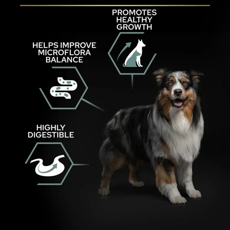 PURINA PRO PLAN Medium & Large Adult Sensitive Digestion kornfri