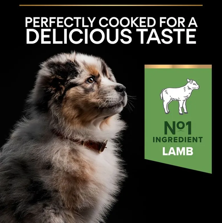 PURINA PRO PLAN Medium Puppy Lam & Ris Sensitive Digestion