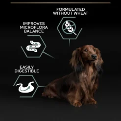 PURINA PRO PLAN Small & Mini Adult Sensitive Digestion Kornfri