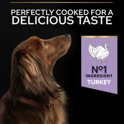 PURINA PRO PLAN Small & Mini Adult Sensitive Digestion Kornfri