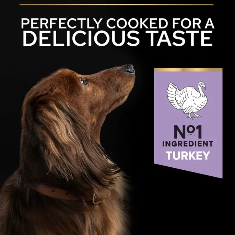 PURINA PRO PLAN Small & Mini Adult Sensitive Digestion Kornfri