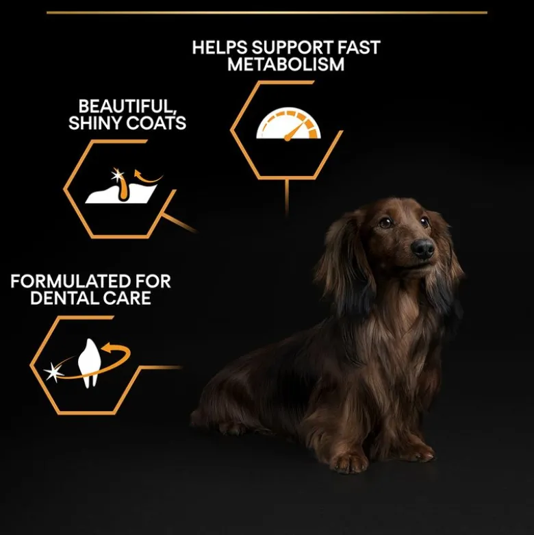 PURINA PRO PLAN Small & Mini Adult 9+ Age Defence