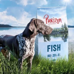 Purizon Fisk Adult - kornfri