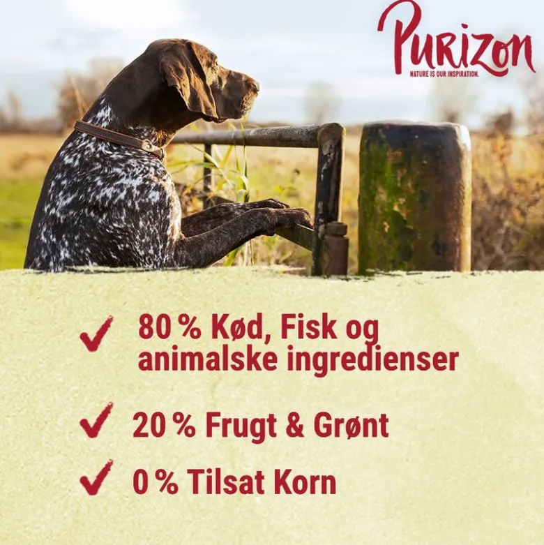 Purizon Kylling med fisk Adult - kornfri