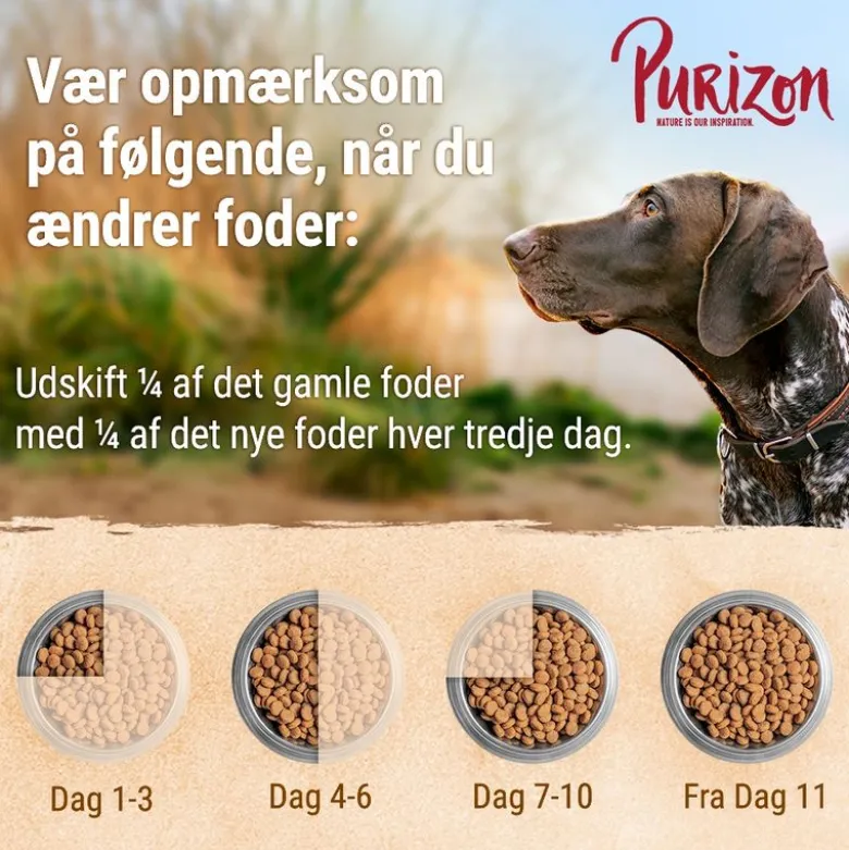 Purizon Kylling med fisk Adult - kornfri