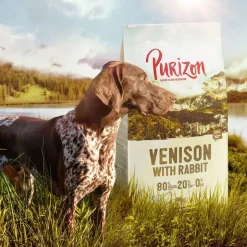 Purizon Wild med kanin Adult - kornfri