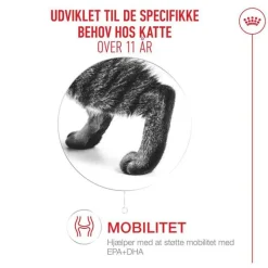 Royal Canin Ageing 11+