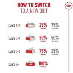 Royal Canin Ageing 15+