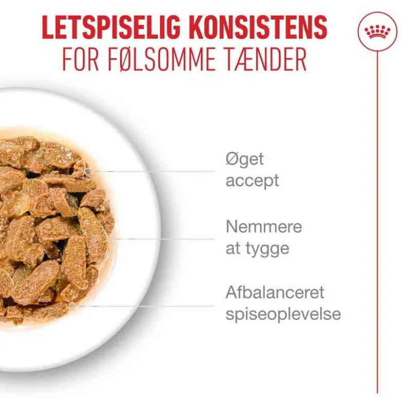 Royal Canin Ageing 11+ i gelé